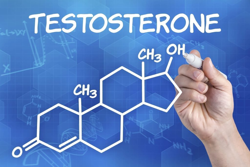 Les Hormones De La Croissance Musculaire